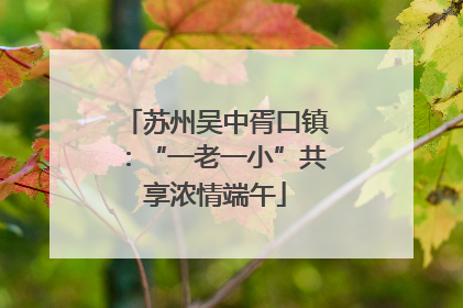 苏州吴中胥口镇：“一老一小”共享浓情端午
