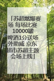 苏超燃爆赛场 每场比赛10000罐啤酒1分送场外助威 京东超市苏超主题会场上线