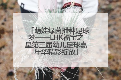 萌娃绿茵播种足球梦——LHK福宝之星第三届幼儿足球嘉年华精彩绽放