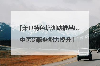 萧县特色培训助推基层中医药服务能力提升