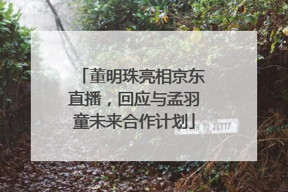 董明珠亮相京东直播，回应与孟羽童未来合作计划