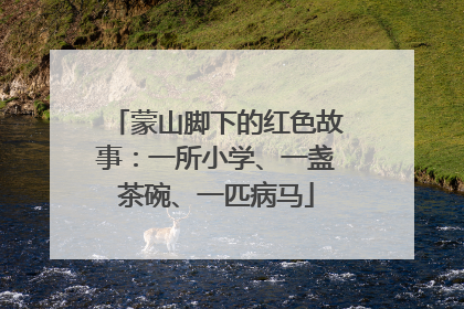 蒙山脚下的红色故事：一所小学、一盏茶碗、一匹病马