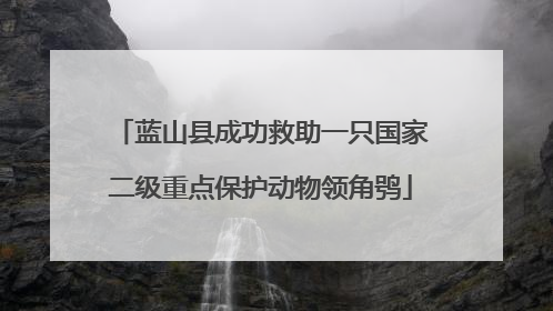 蓝山县成功救助一只国家二级重点保护动物领角鸮