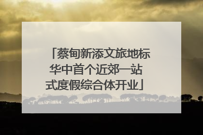 蔡甸新添文旅地标 华中首个近郊一站式度假综合体开业
