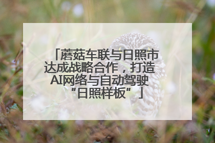 蘑菇车联与日照市达成战略合作，打造AI网络与自动驾驶“日照样板”