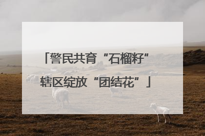 警民共育“石榴籽” 辖区绽放“团结花”