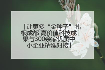 让更多“金种子”扎根成都 高价值科技成果与300余家优质中小企业精准对接