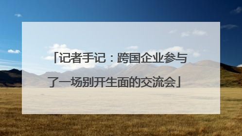 记者手记：跨国企业参与了一场别开生面的交流会