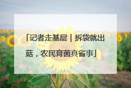 记者走基层｜拆袋就出菇，农民育菌真省事