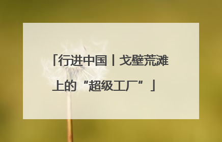 行进中国丨戈壁荒滩上的“超级工厂”