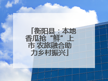 衡阳县：本地香瓜抢“鲜”上市 农旅融合助力乡村振兴