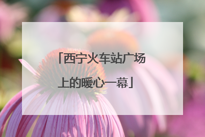 西宁火车站广场上的暖心一幕