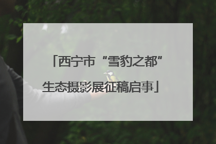 西宁市“雪豹之都”生态摄影展征稿启事