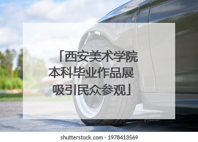西安美术学院本科毕业作品展吸引民众参观