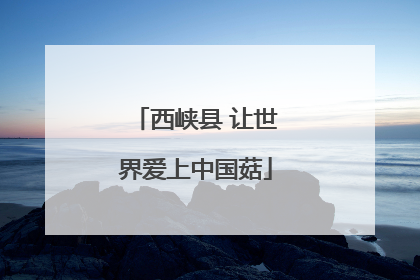 西峡县 让世界爱上中国菇