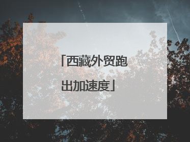 西藏外贸跑出加速度