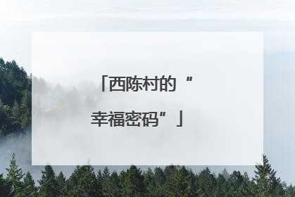 西陈村的“幸福密码”