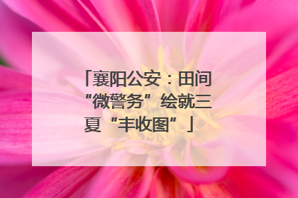 襄阳公安：田间“微警务”绘就三夏“丰收图”
