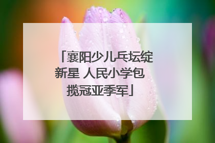 襄阳少儿乓坛绽新星 人民小学包揽冠亚季军
