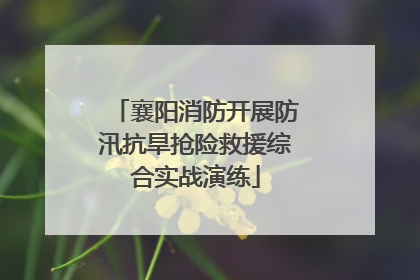 襄阳消防开展防汛抗旱抢险救援综合实战演练