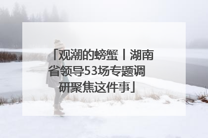 观潮的螃蟹丨湖南省领导53场专题调研聚焦这件事