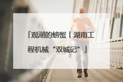 观潮的螃蟹丨湖南工程机械“双城记”