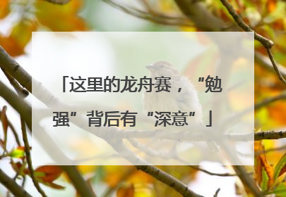 这里的龙舟赛，“勉强”背后有“深意”