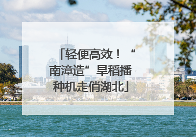 轻便高效！“南漳造”旱稻播种机走俏湖北