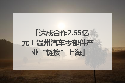 达成合作2.65亿元！温州汽车零部件产业“链接”上海