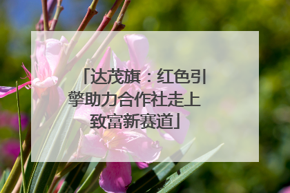 达茂旗：红色引擎助力合作社走上致富新赛道