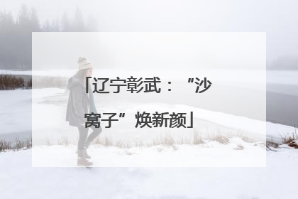 辽宁彰武：“沙窝子”焕新颜