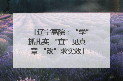 辽宁高院：“学”抓扎实 “查”见真章 “改”求实效
