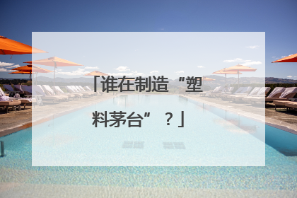 谁在制造“塑料茅台”？