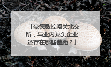 豪德数控闯关北交所，与业内龙头企业还存在哪些差距？