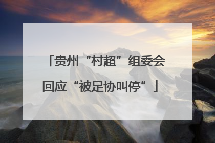 贵州“村超”组委会回应“被足协叫停”