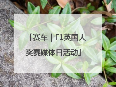 赛车｜F1英国大奖赛媒体日活动