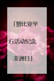 赞比亚举行活动纪念非洲日
