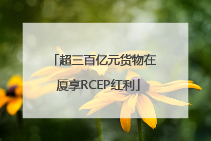 超三百亿元货物在厦享RCEP红利