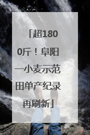 超1800斤！阜阳一小麦示范田单产纪录再刷新