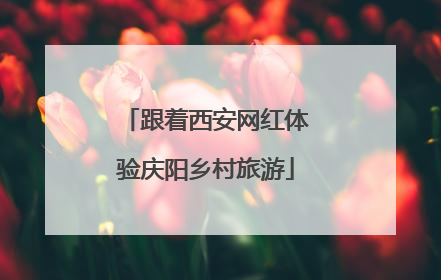 跟着西安网红体验庆阳乡村旅游