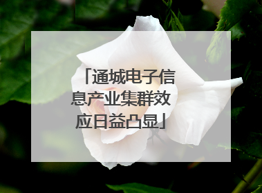 通城电子信息产业集群效应日益凸显