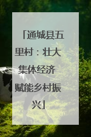 通城县五里村：壮大集体经济 赋能乡村振兴