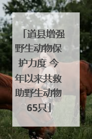 道县增强野生动物保护力度 今年以来共救助野生动物65只