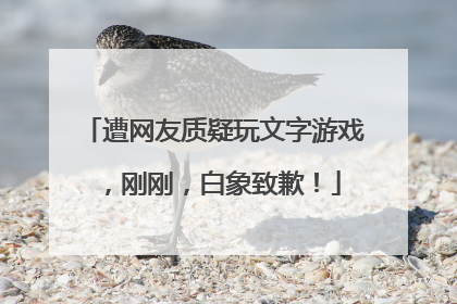 遭网友质疑玩文字游戏，刚刚，白象致歉！