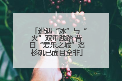遭遇“冰”与“火”双重践踏 昔日“爱乐之城”洛杉矶已面目全非