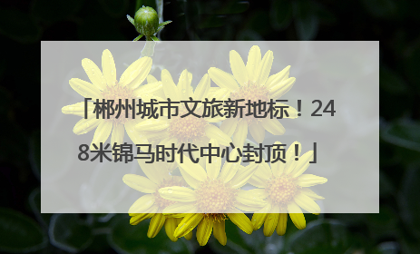 郴州城市文旅新地标！248米锦马时代中心封顶！