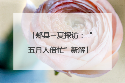郏县三夏探访：“五月人倍忙”新解