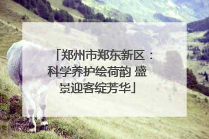 郑州市郑东新区：科学养护绘荷韵 盛景迎客绽芳华