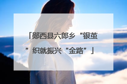 郧西县六郎乡“银茧”织就振兴“金路”
