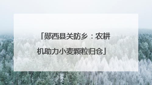郧西县关防乡：农耕机助力小麦颗粒归仓